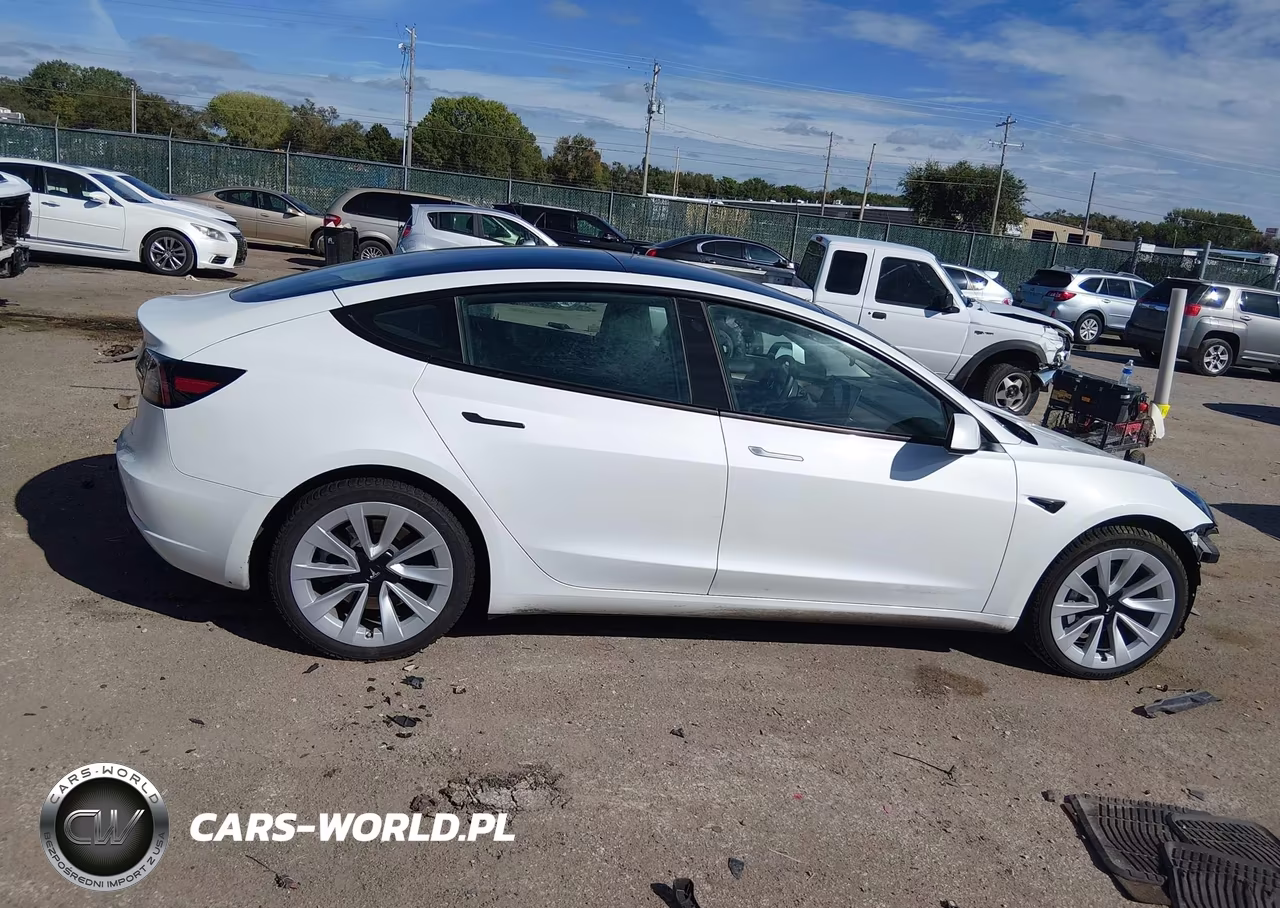 2023 Tesla Model 3 Long Range Dual Motor All-Wheel Drive VIN:5YJ3E1EB7PF393389 - 13