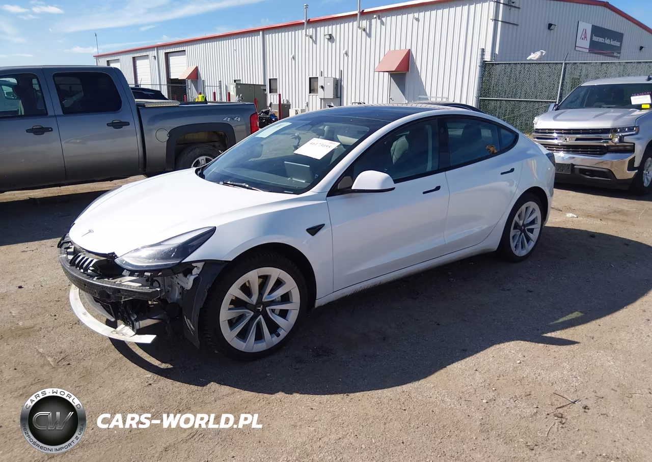 2023 Tesla Model 3 Long Range Dual Motor All-Wheel Drive VIN:5YJ3E1EB7PF393389 - 2