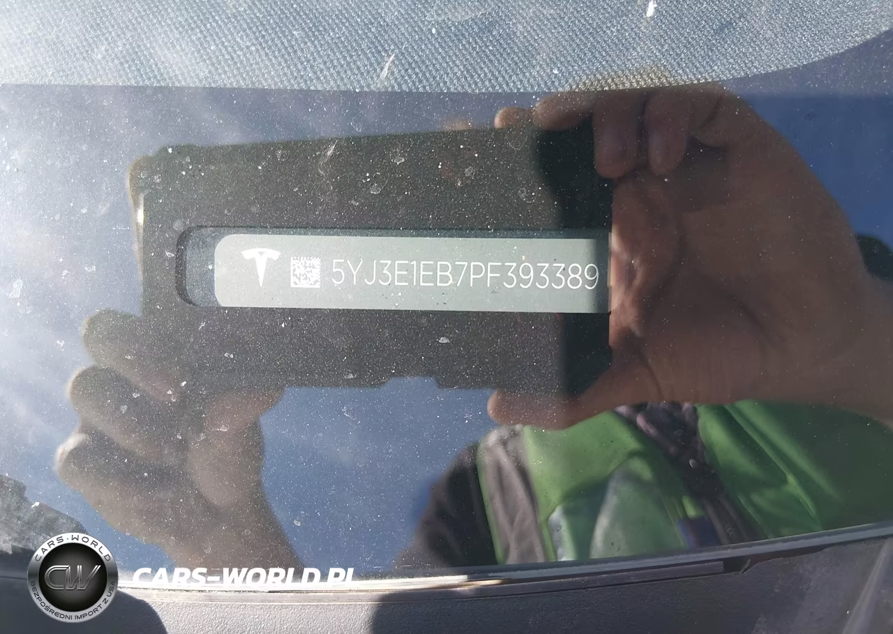 2023 Tesla Model 3 Long Range Dual Motor All-Wheel Drive VIN:5YJ3E1EB7PF393389 - 9