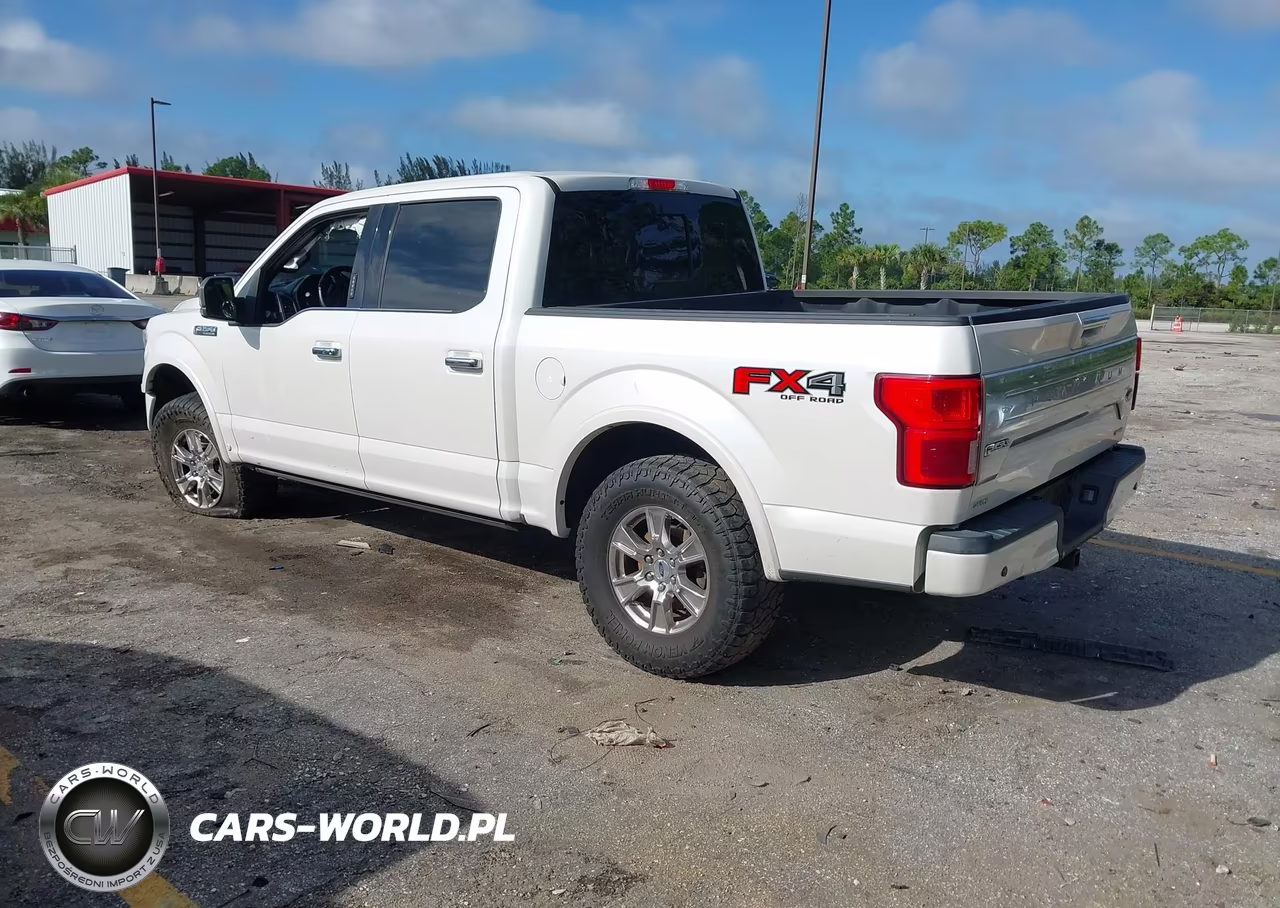 2018 Ford F-150 Platinum VIN:1FTEW1EG7JFC76755 - 3