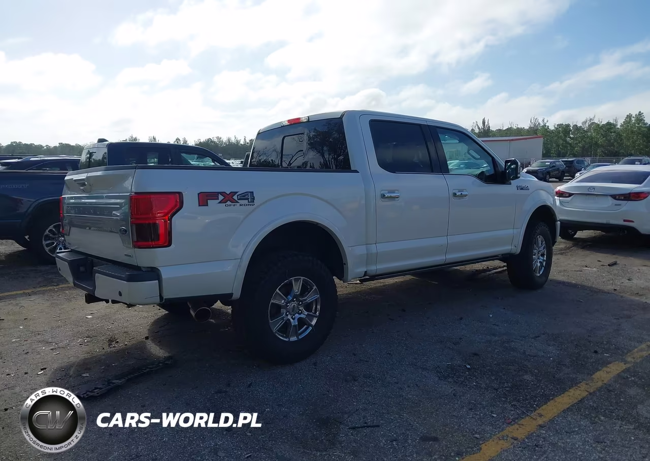 2018 Ford F-150 Platinum VIN:1FTEW1EG7JFC76755 - 4