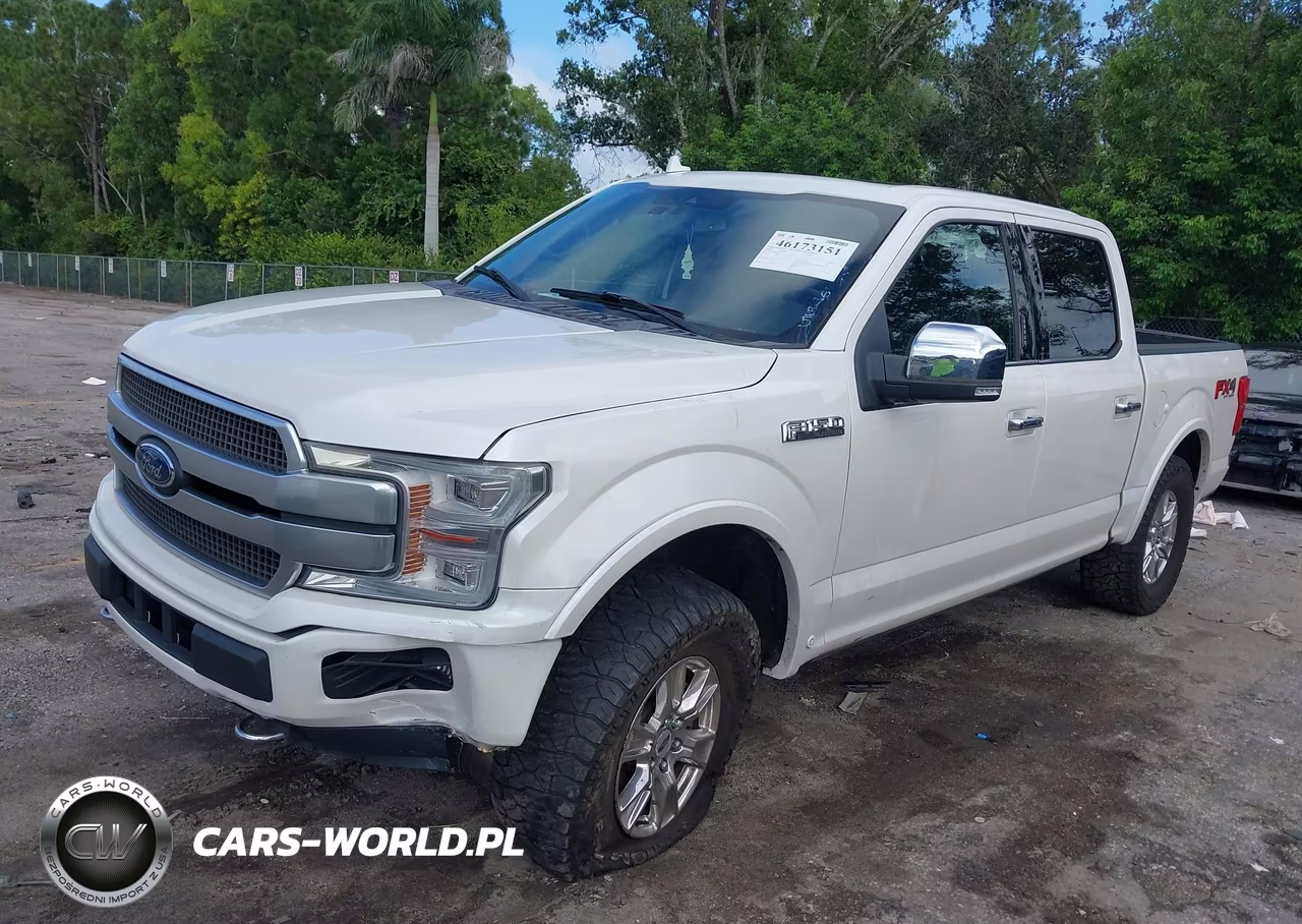 2018 Ford F-150 Platinum VIN:1FTEW1EG7JFC76755 - 6