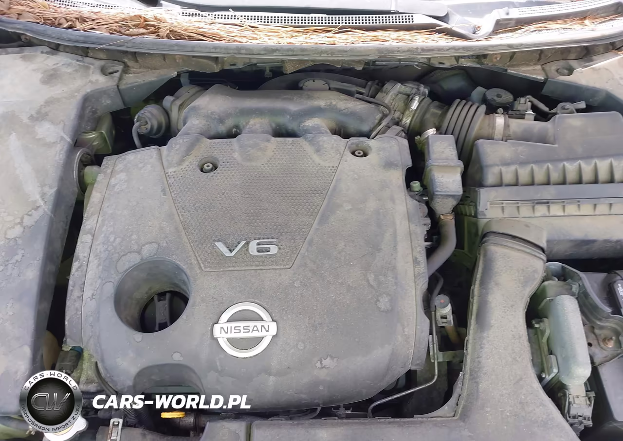 2009 Nissan Maxima 3.5 Sv VIN:1N4AA51E69C813174 - 10