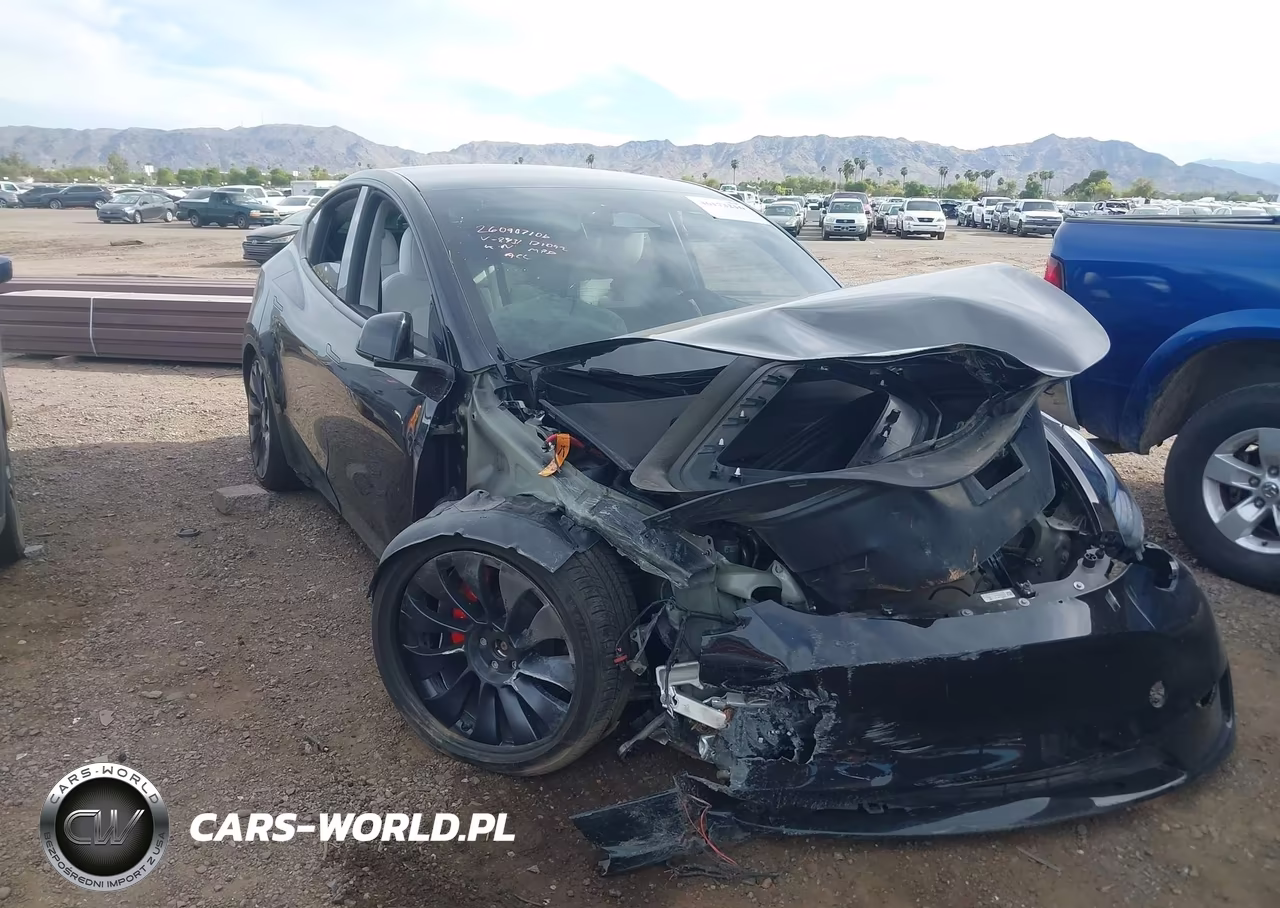 2025 Tesla Model Y Performance Dual Motor All-Wheel Drive