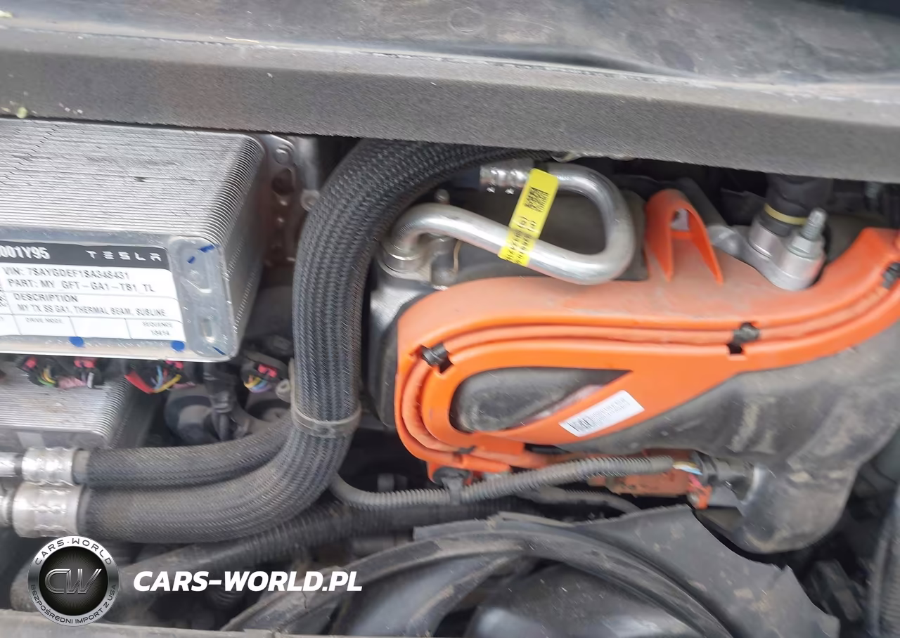 2025 Tesla Model Y Performance Dual Motor All-Wheel Drive VIN:7SAYGDEF1SA348431 - 10