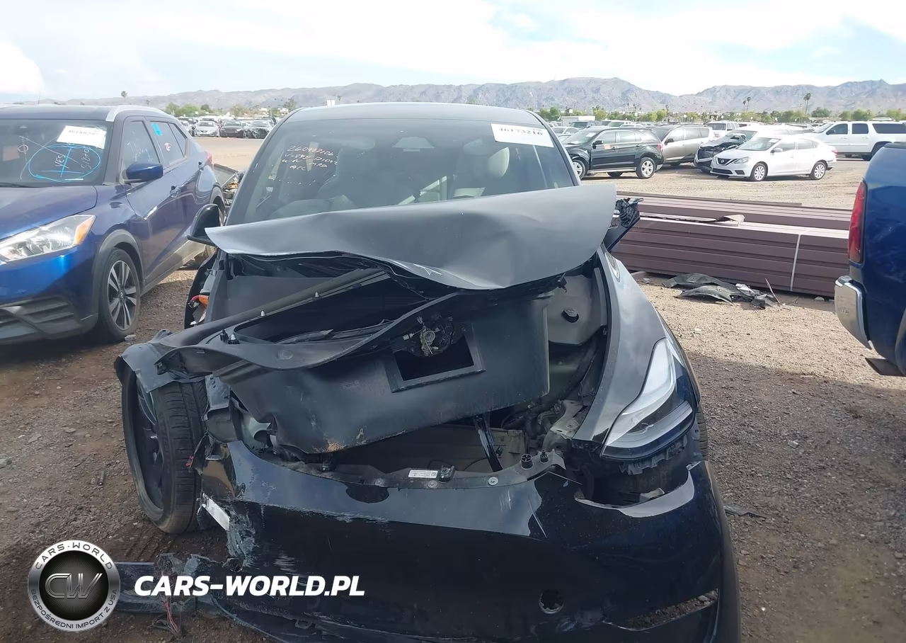 2025 Tesla Model Y Performance Dual Motor All-Wheel Drive VIN:7SAYGDEF1SA348431 - 12