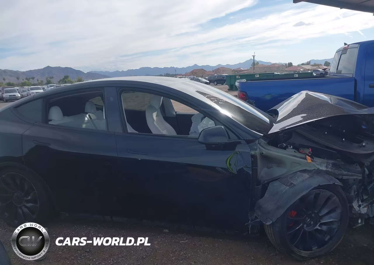 2025 Tesla Model Y Performance Dual Motor All-Wheel Drive VIN:7SAYGDEF1SA348431 - 13