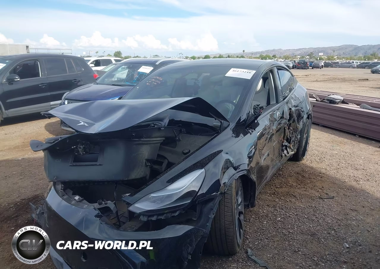 2025 Tesla Model Y Performance Dual Motor All-Wheel Drive VIN:7SAYGDEF1SA348431 - 2