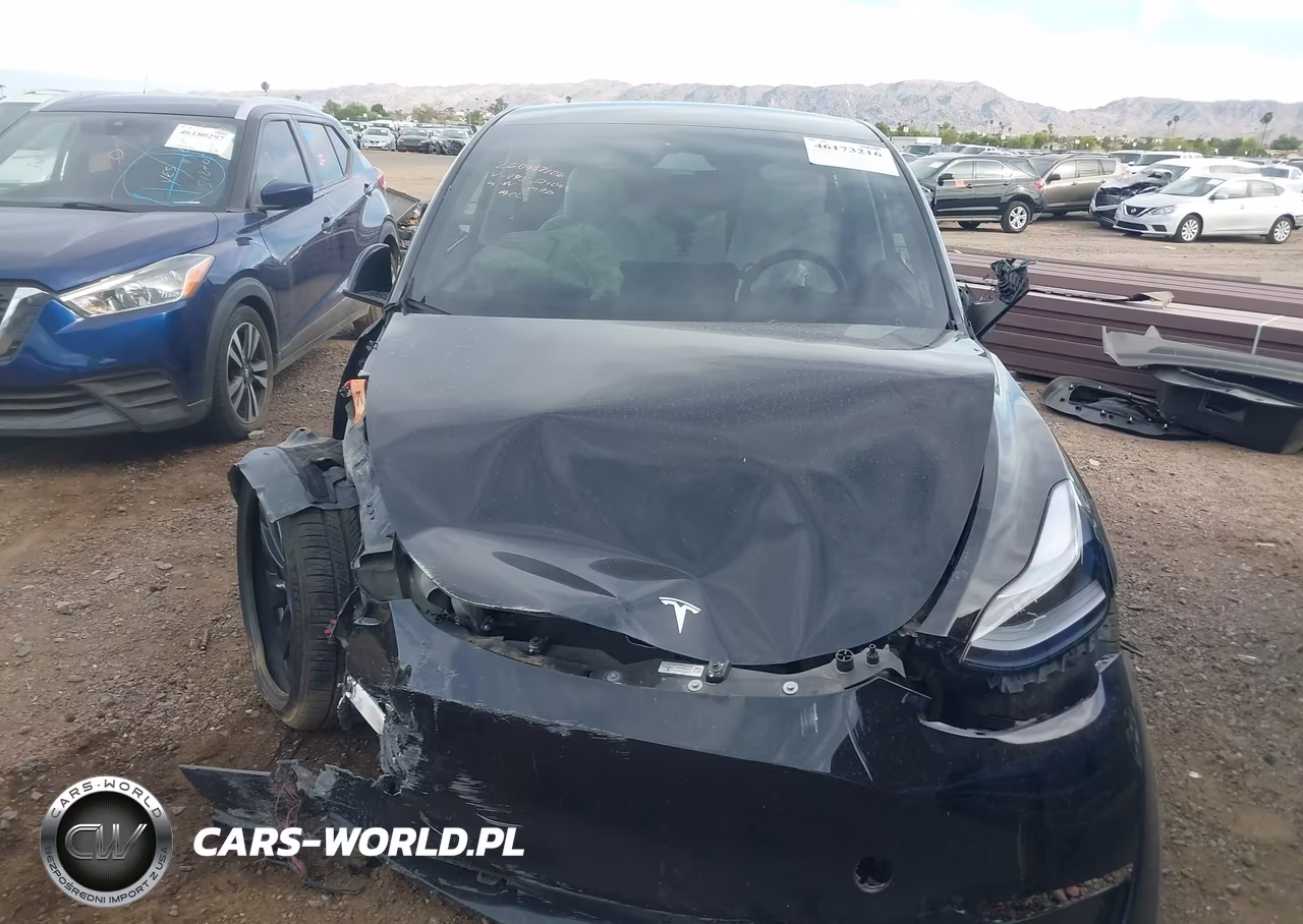 2025 Tesla Model Y Performance Dual Motor All-Wheel Drive VIN:7SAYGDEF1SA348431 - 6