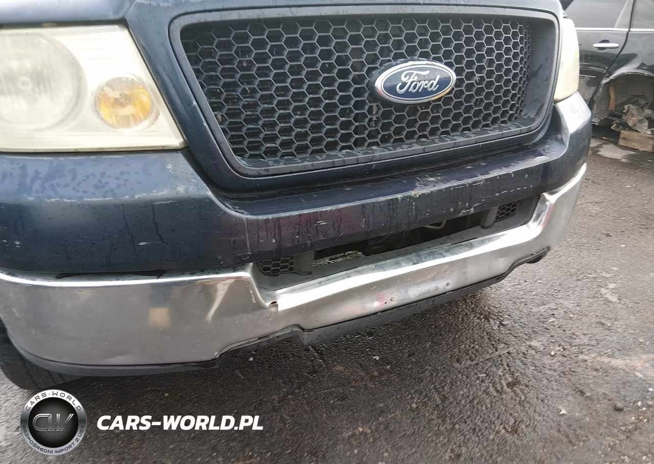 2005 Ford F-150 Stx-Xl-Xlt VIN:1FTRX12W45NA75160 - 12
