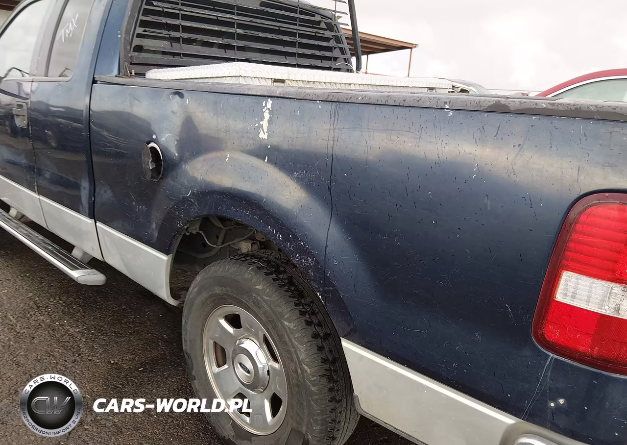 2005 Ford F-150 Stx-Xl-Xlt VIN:1FTRX12W45NA75160 - 6