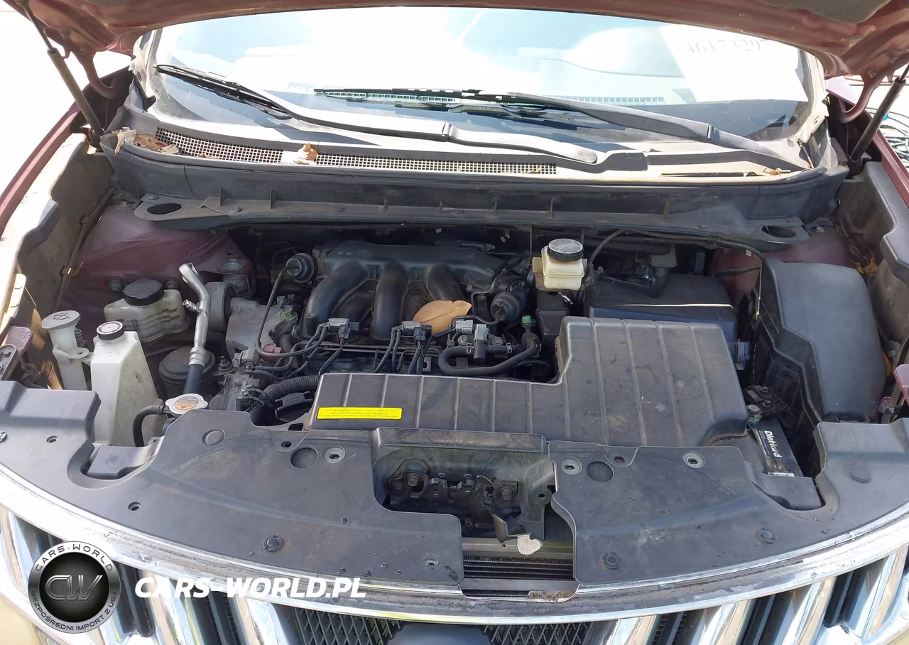 2009 Nissan Murano Sl VIN:JN8AZ18U69W001823 - 10