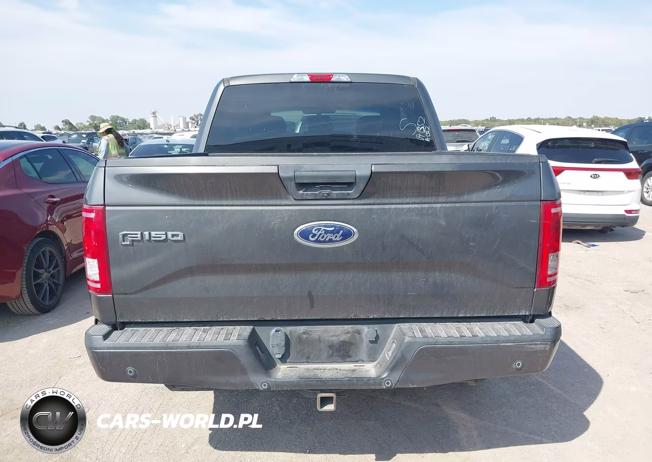 2017 Ford F-150 Xl VIN:1FTEW1CP7HKE48187 - 16