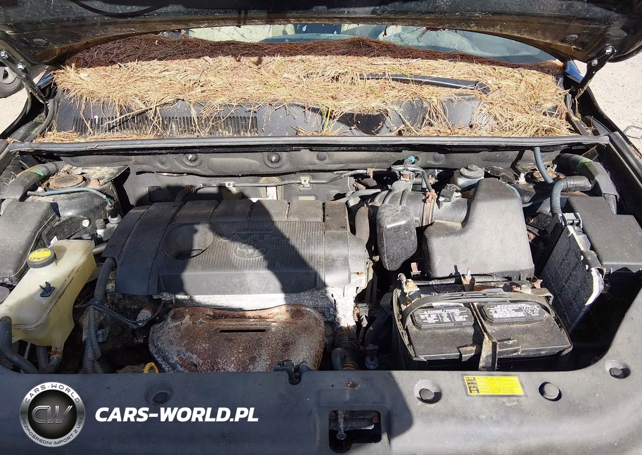2011 Toyota Rav4 VIN:2T3BF4DV0BW109304 - 10