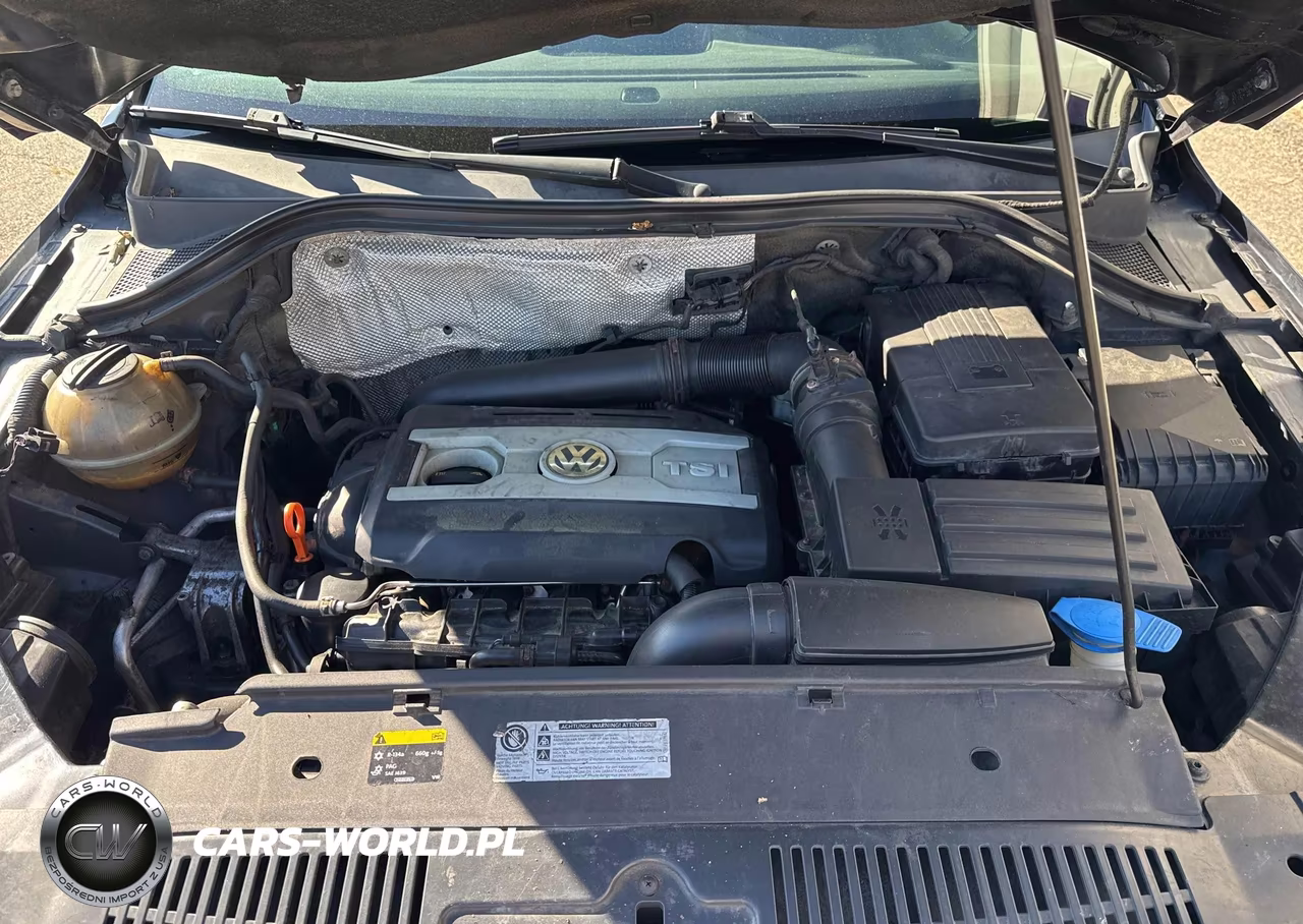 2009 Volkswagen Tiguan Se VIN:WVGBV95N39W527524 - 10
