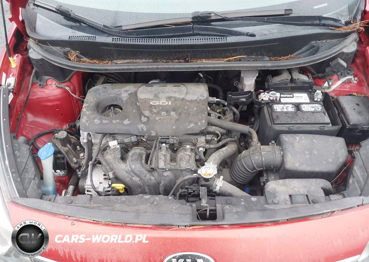 2016 Kia Rio Ex VIN:KNADN4A39G6645883 - 10