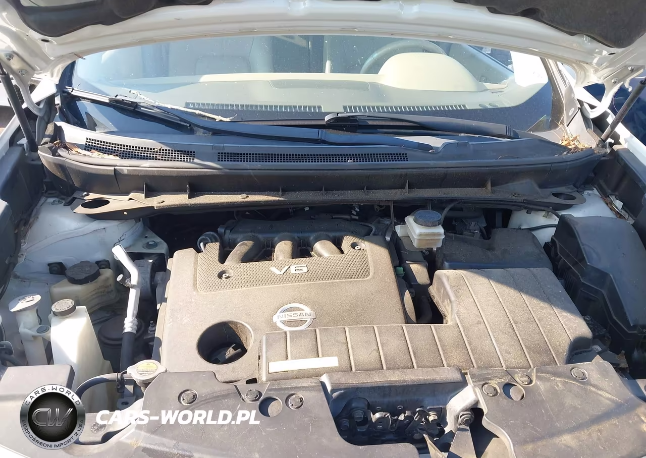 2009 Nissan Murano Sl VIN:JN8AZ18W59W139712 - 10