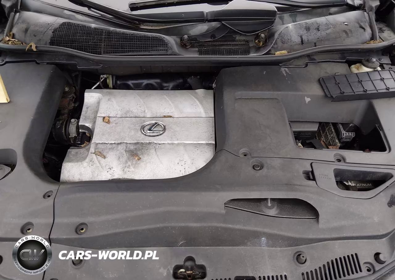2011 Lexus Rx 350 VIN:2T2BK1BA4BC105496 - 10
