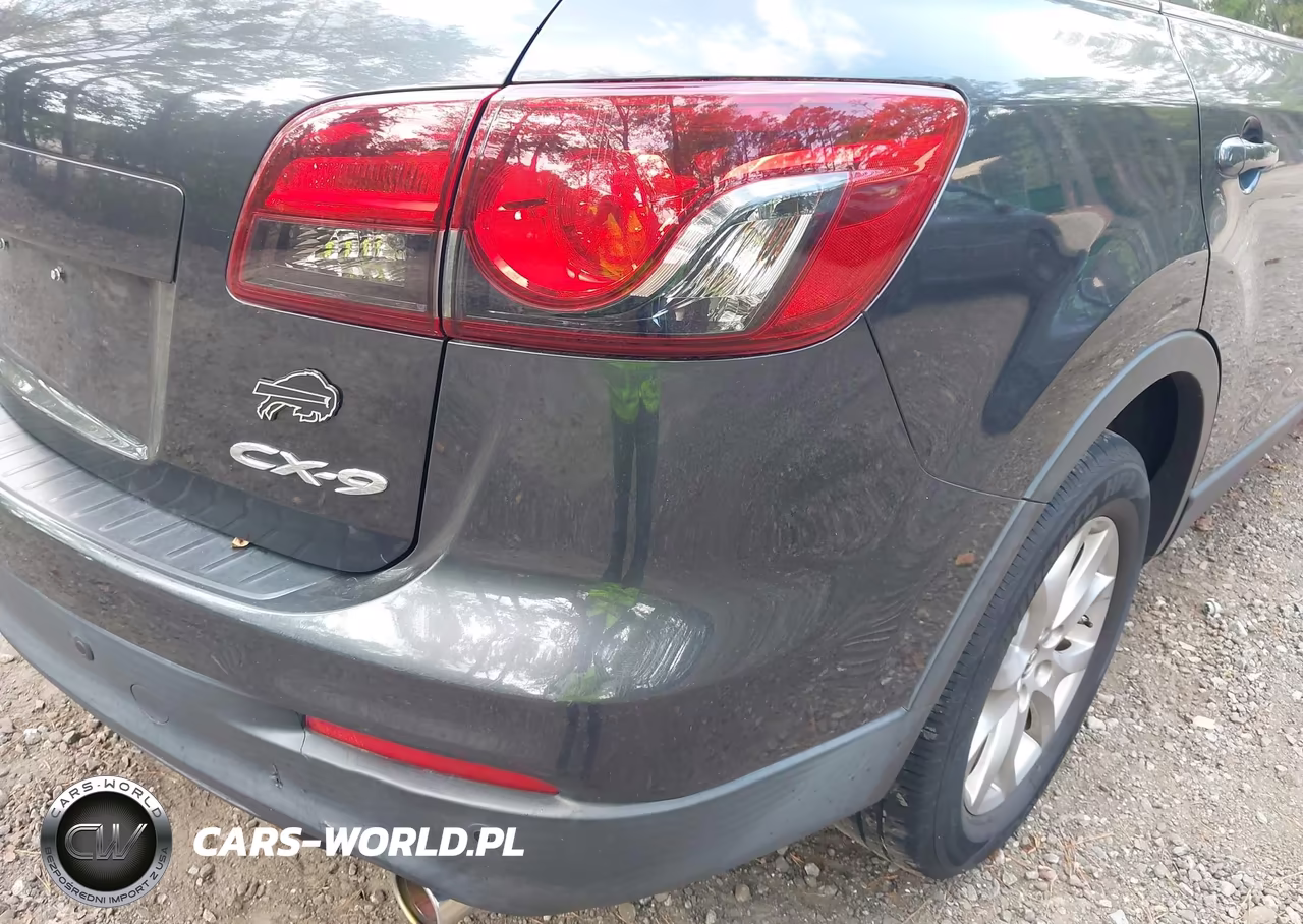 2014 Mazda Cx-9 Touring VIN:JM3TB2CA7E0438312 - 6