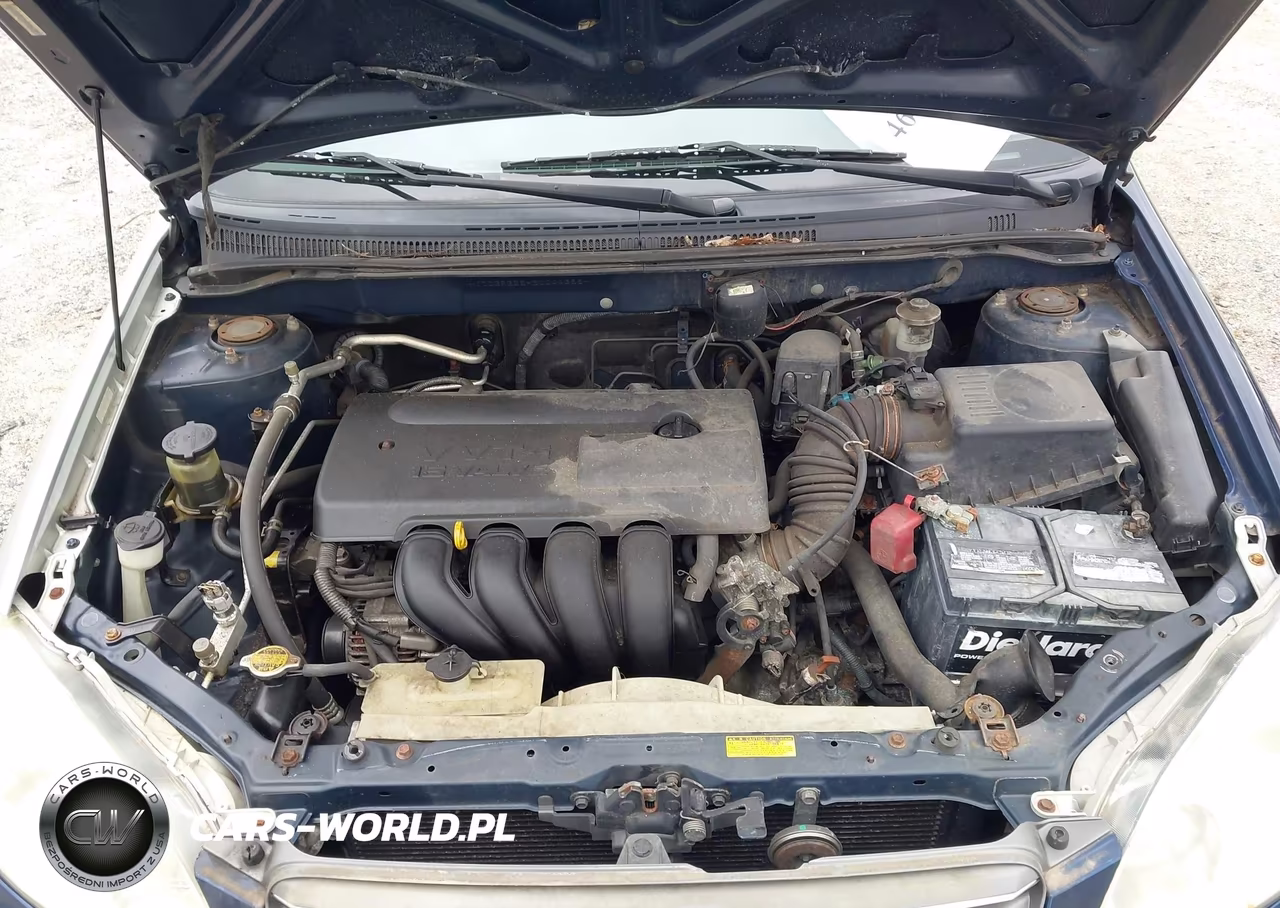 2003 Toyota Corolla Le VIN:JTDBR32EX30044388 - 10
