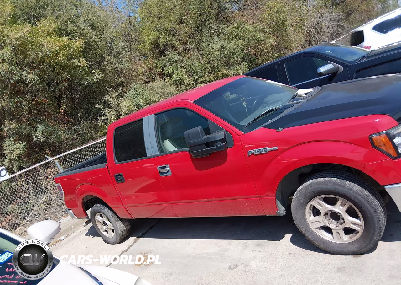 2009 Ford F-150 King Ranch-Lariat-Platinum-Xl-Xlt VIN:1FTPW12V19KC72103 - 13