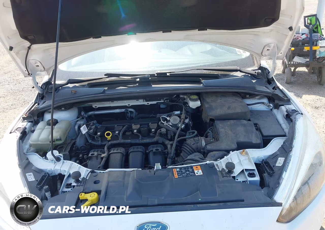 2018 Ford Focus Se VIN:1FADP3F23JL209021 - 10