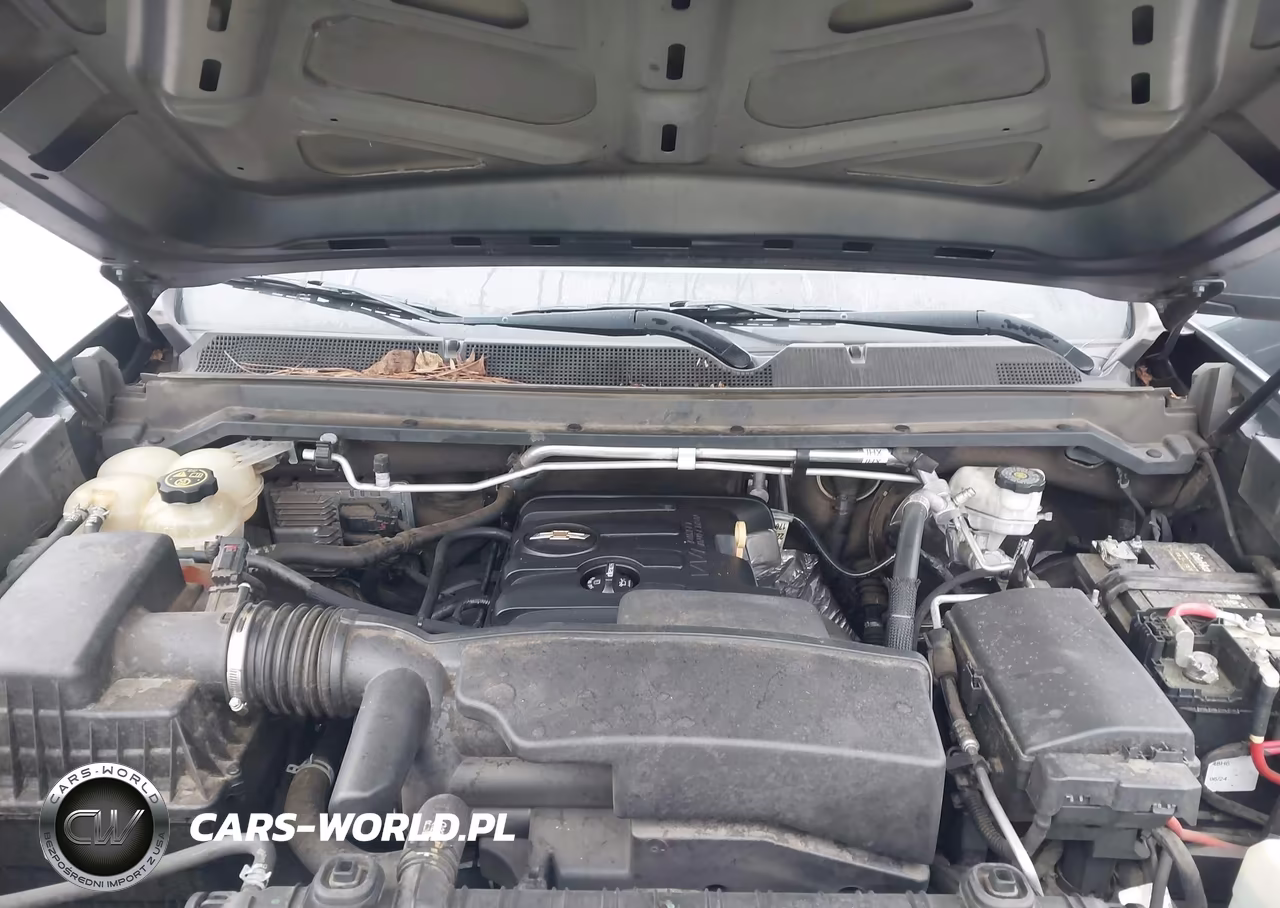 2020 Chevrolet Colorado 2Wd Long Box Wt VIN:1GCHSBEA1L1166651 - 10