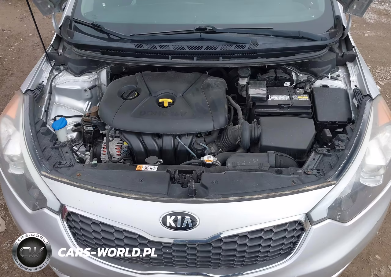 2015 Kia Forte Lx VIN:KNAFK4A64F5361884 - 10