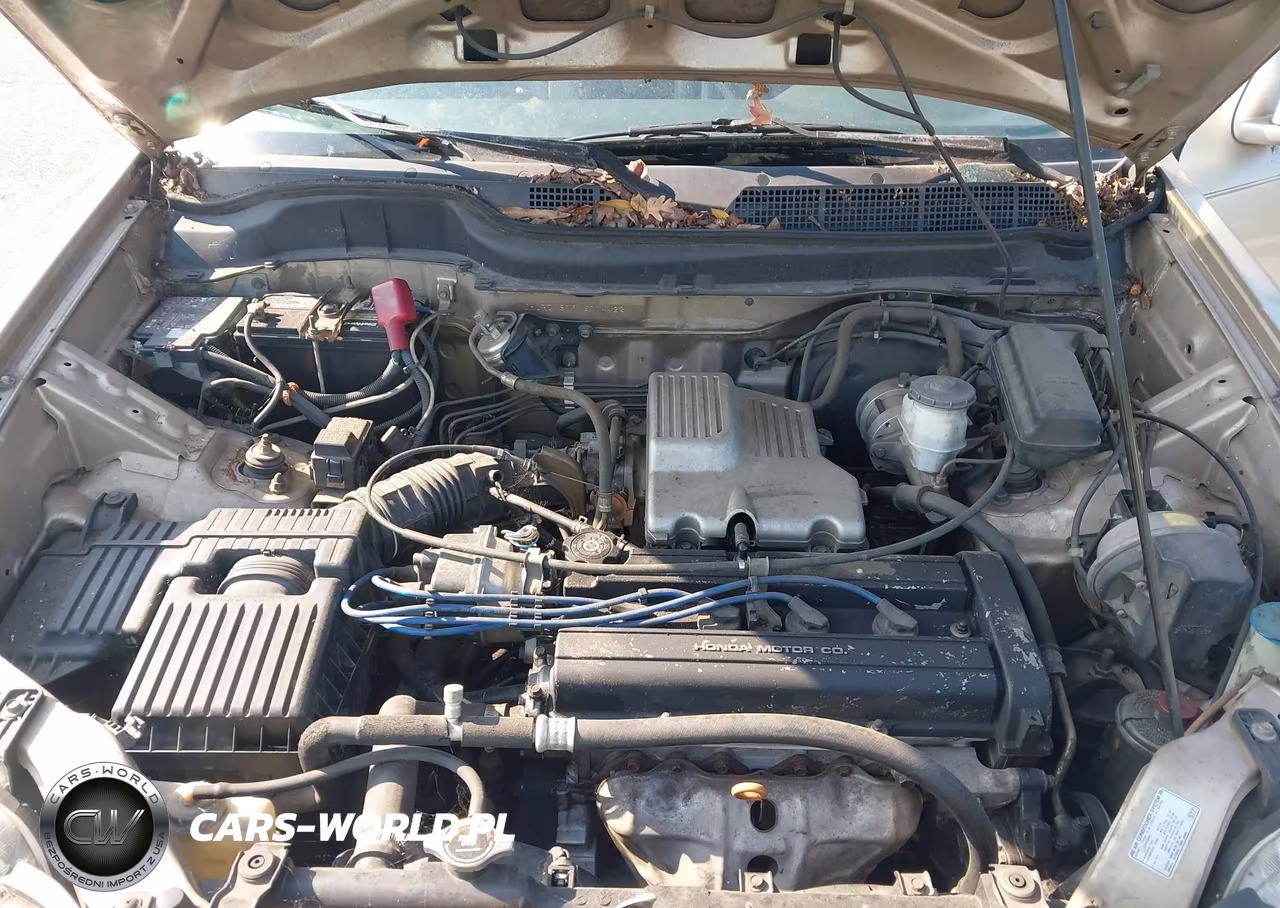 2000 Honda Cr-V Special Edition VIN:JHLRD1879YS014422 - 10