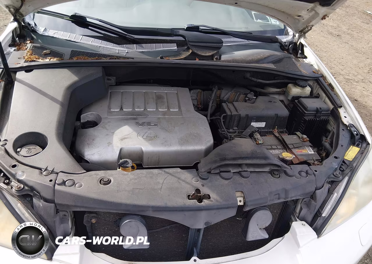 2007 Lexus Rx 350 VIN:2T2HK31U37C015121 - 10
