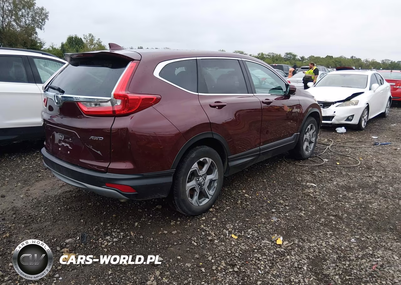 2019 Honda Cr-V Ex-L VIN:2HKRW2H81KH606215 - 4