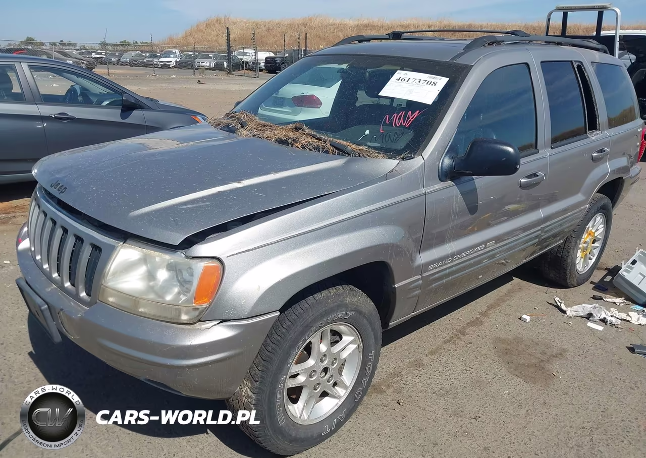 1999 Jeep Grand Cherokee Limited VIN:1J4GW68NXXC805071 - 6