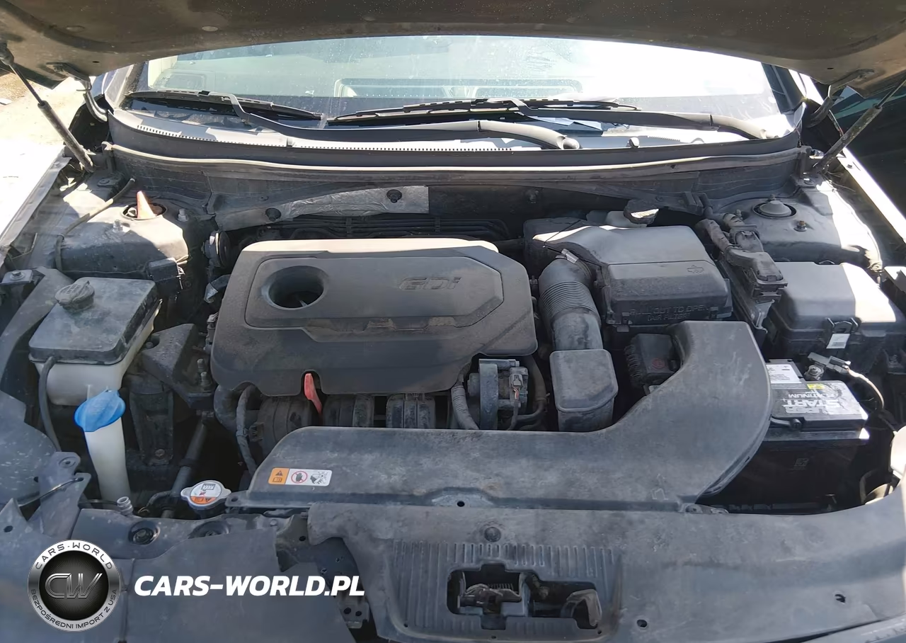 2016 Hyundai Sonata Se VIN:5NPE24AF4GH313656 - 10