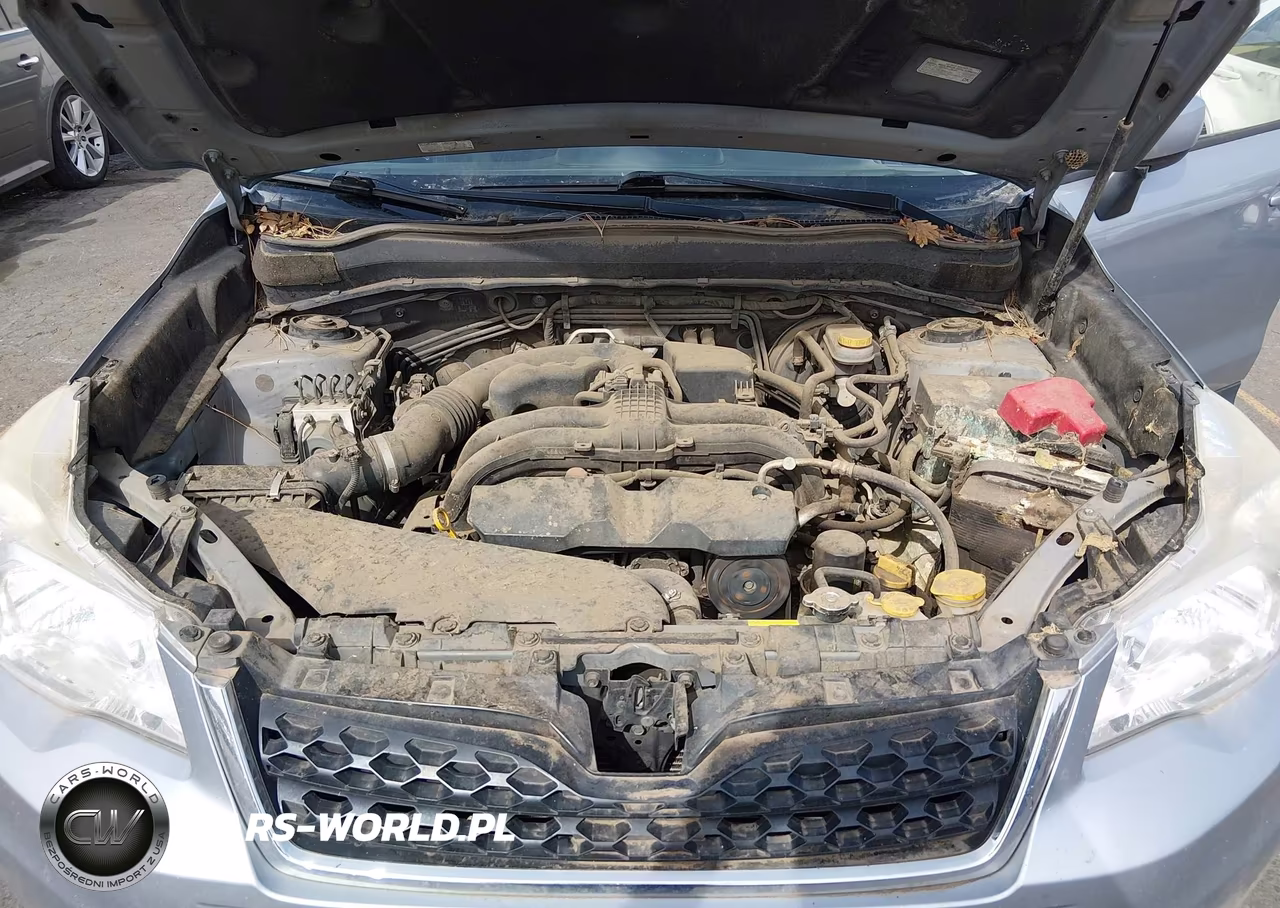 2016 Subaru Forester 2.5I Premium VIN:JF2SJADC6GH530499 - 10