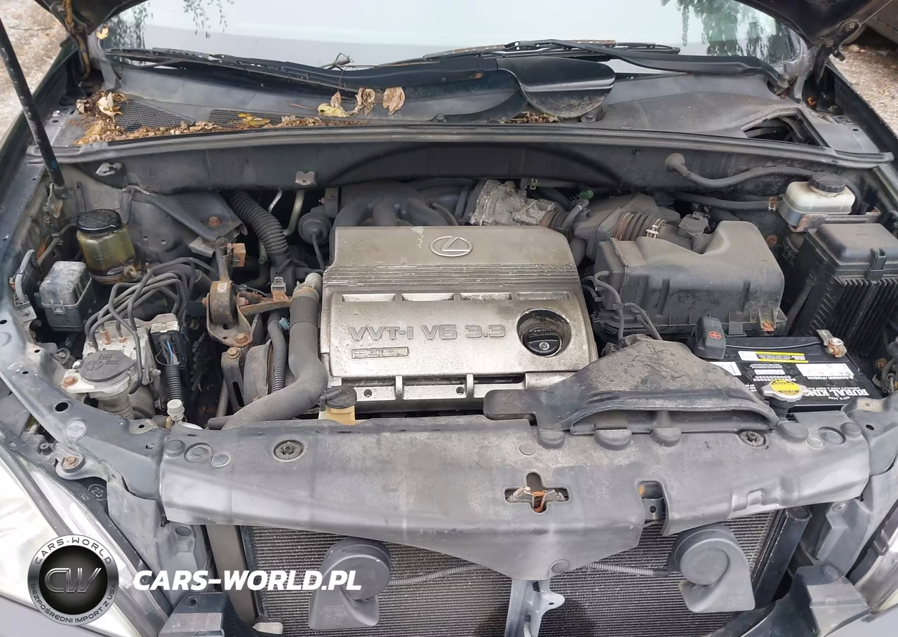 2004 Lexus Rx 330 VIN:JTJHA31U840020003 - 10
