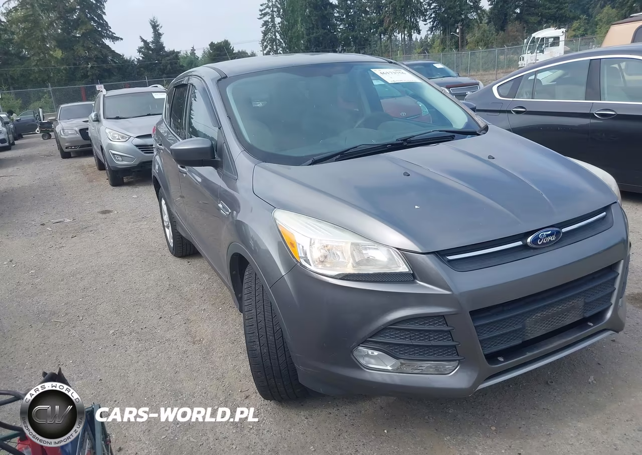 2014 Ford Escape Se