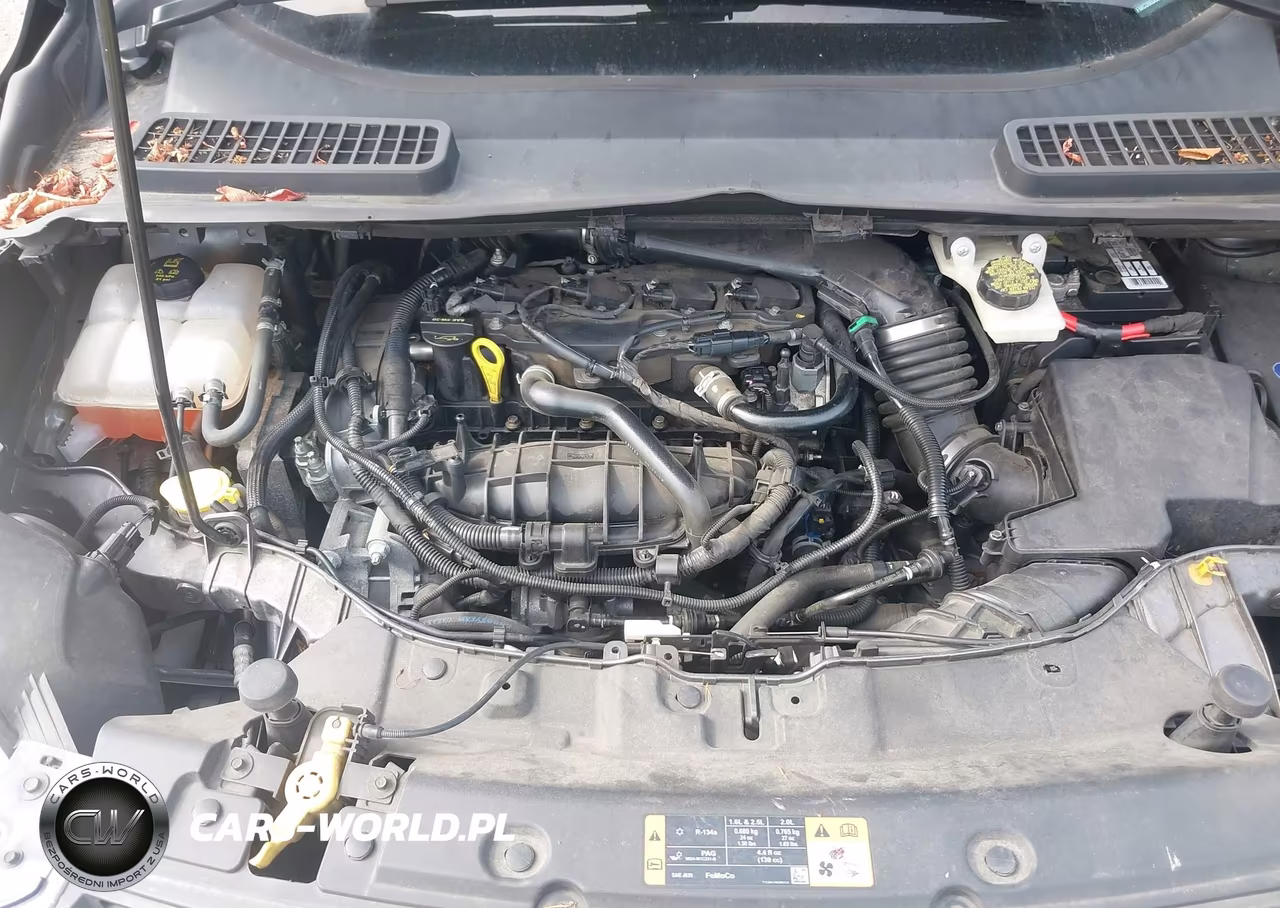 2014 Ford Escape Se VIN:1FMCU9GXXEUC53024 - 10