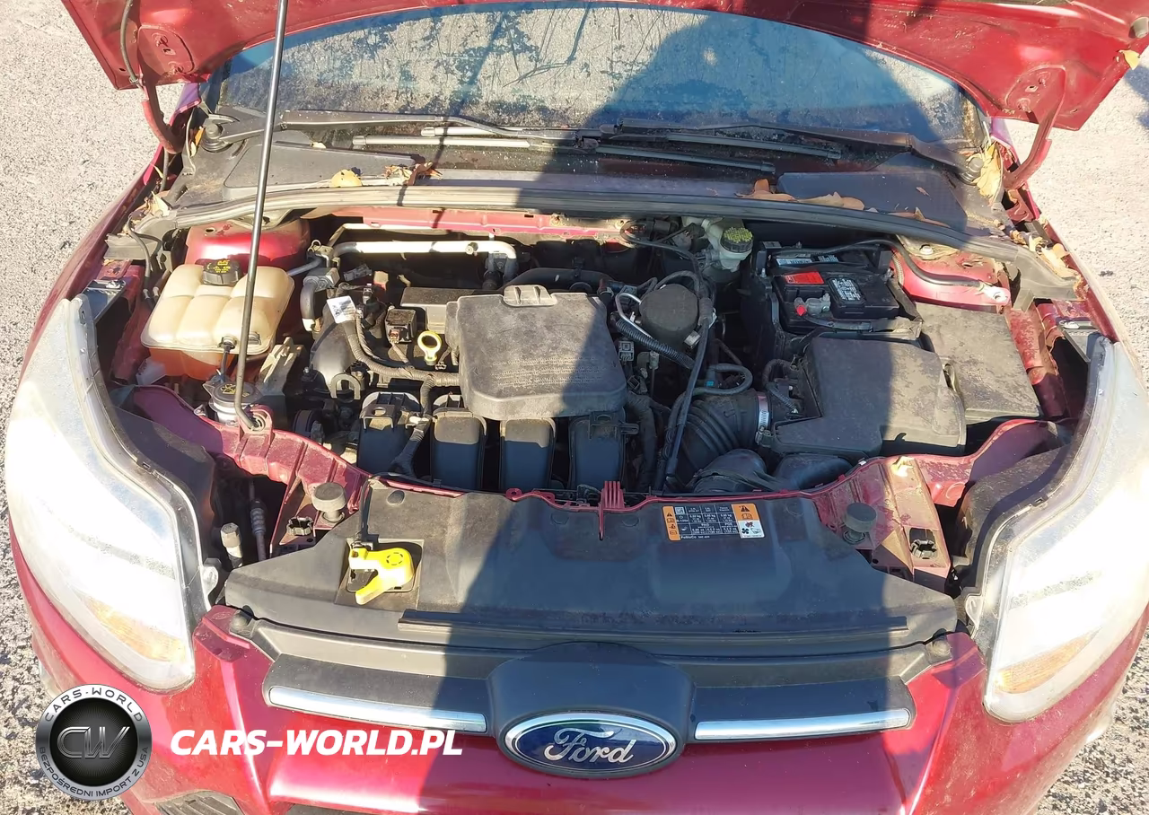 2014 Ford Focus Se VIN:1FADP3K22EL347872 - 10