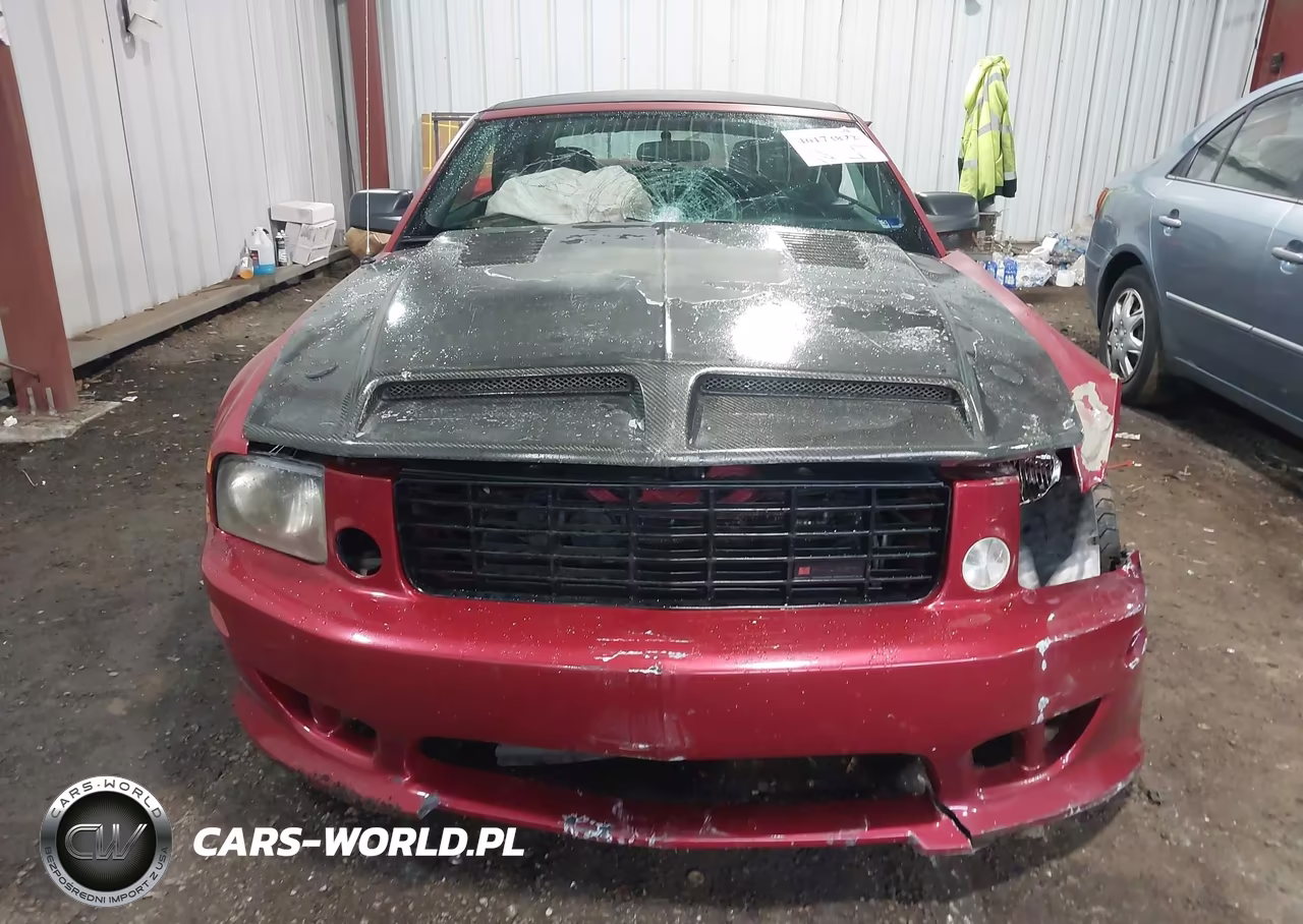 2005 Ford Mustang Gt VIN:1ZVFT85H455175163 - 13