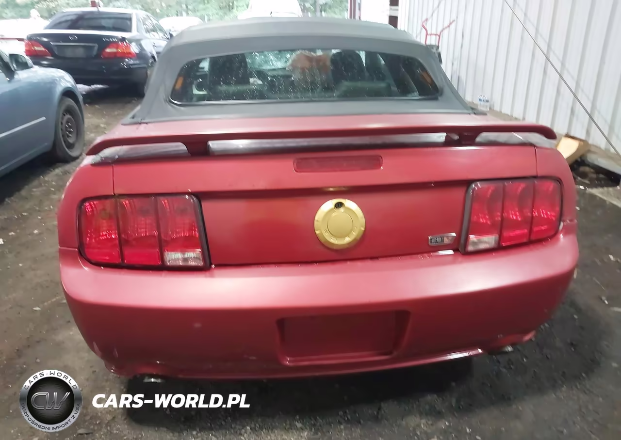 2005 Ford Mustang Gt VIN:1ZVFT85H455175163 - 17