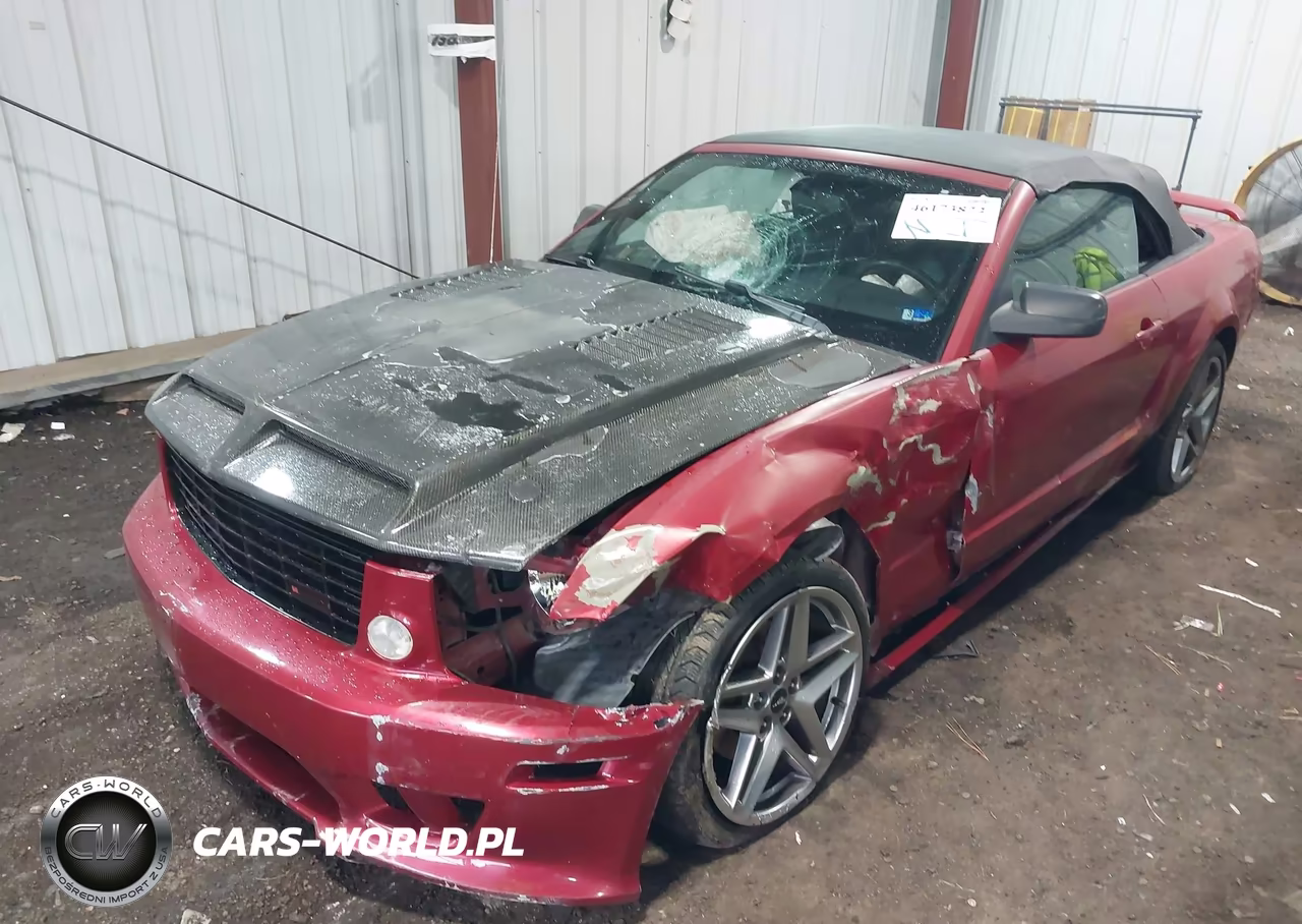 2005 Ford Mustang Gt VIN:1ZVFT85H455175163 - 2