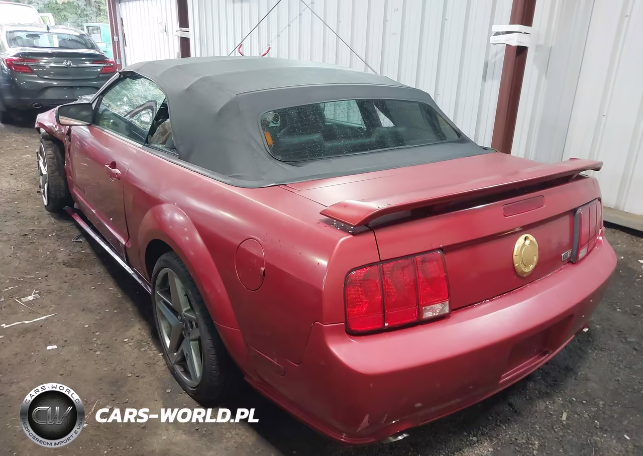2005 Ford Mustang Gt VIN:1ZVFT85H455175163 - 3