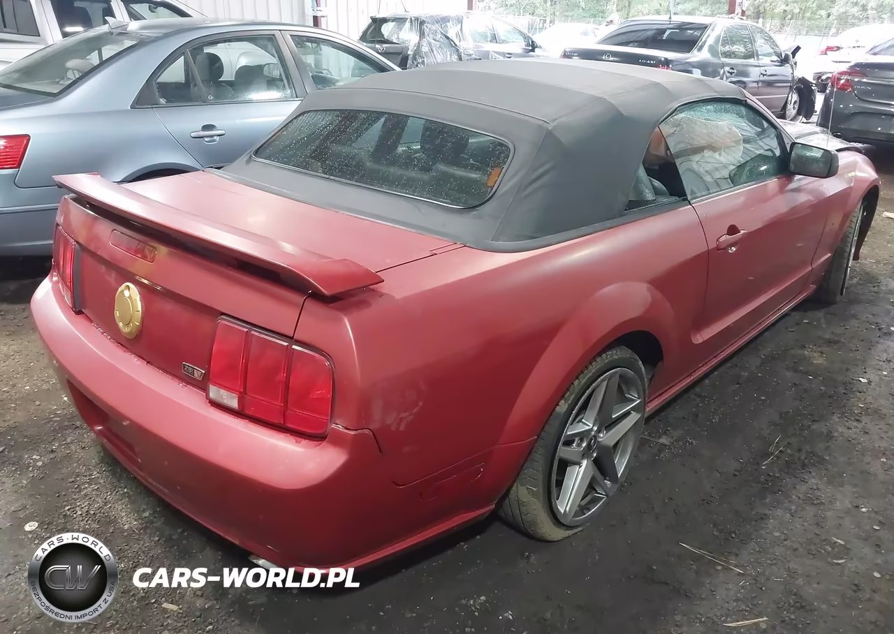 2005 Ford Mustang Gt VIN:1ZVFT85H455175163 - 4