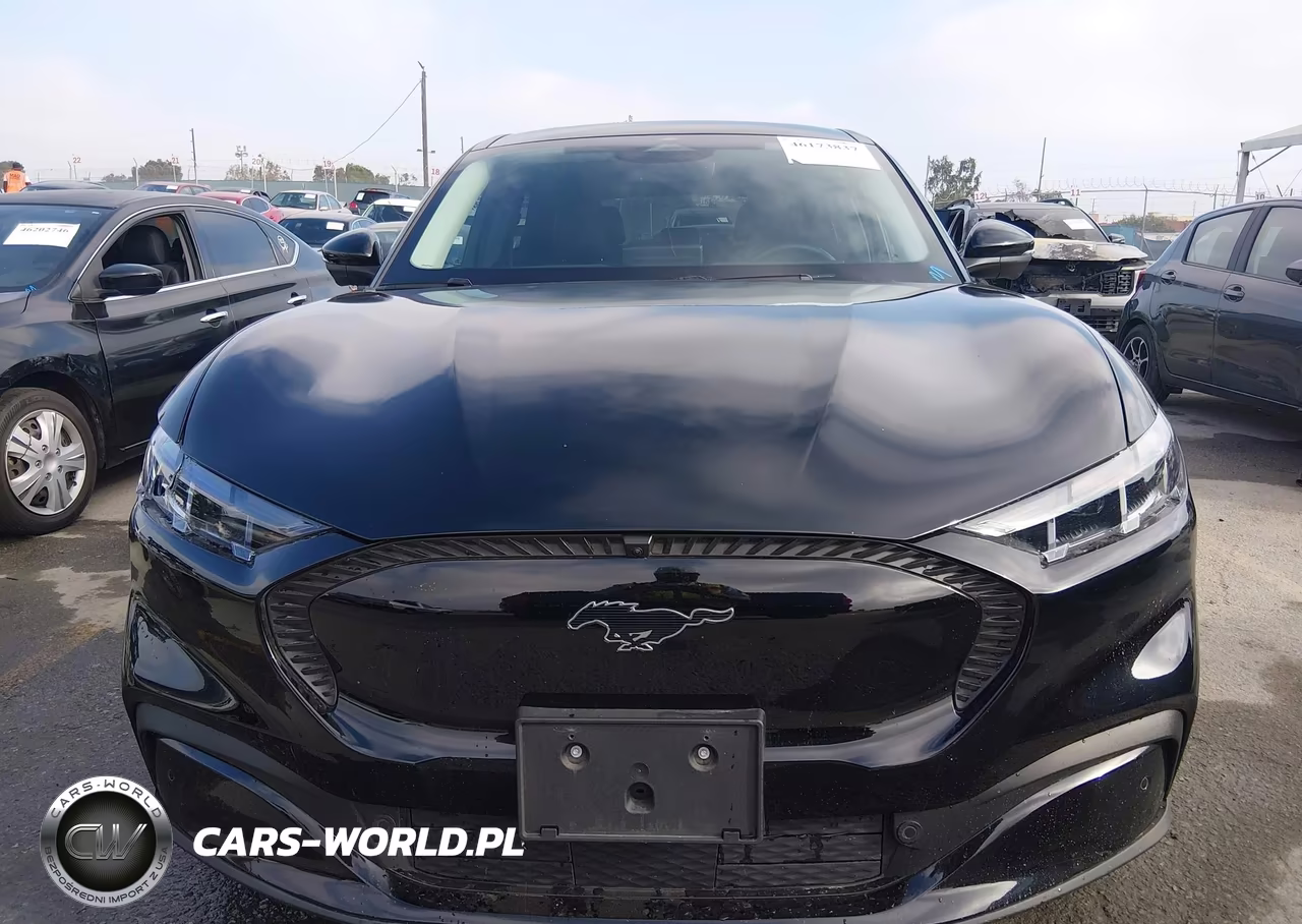 2025 Ford Mustang Mach-E Select VIN:3FMTK1R40SMA18836 - 12