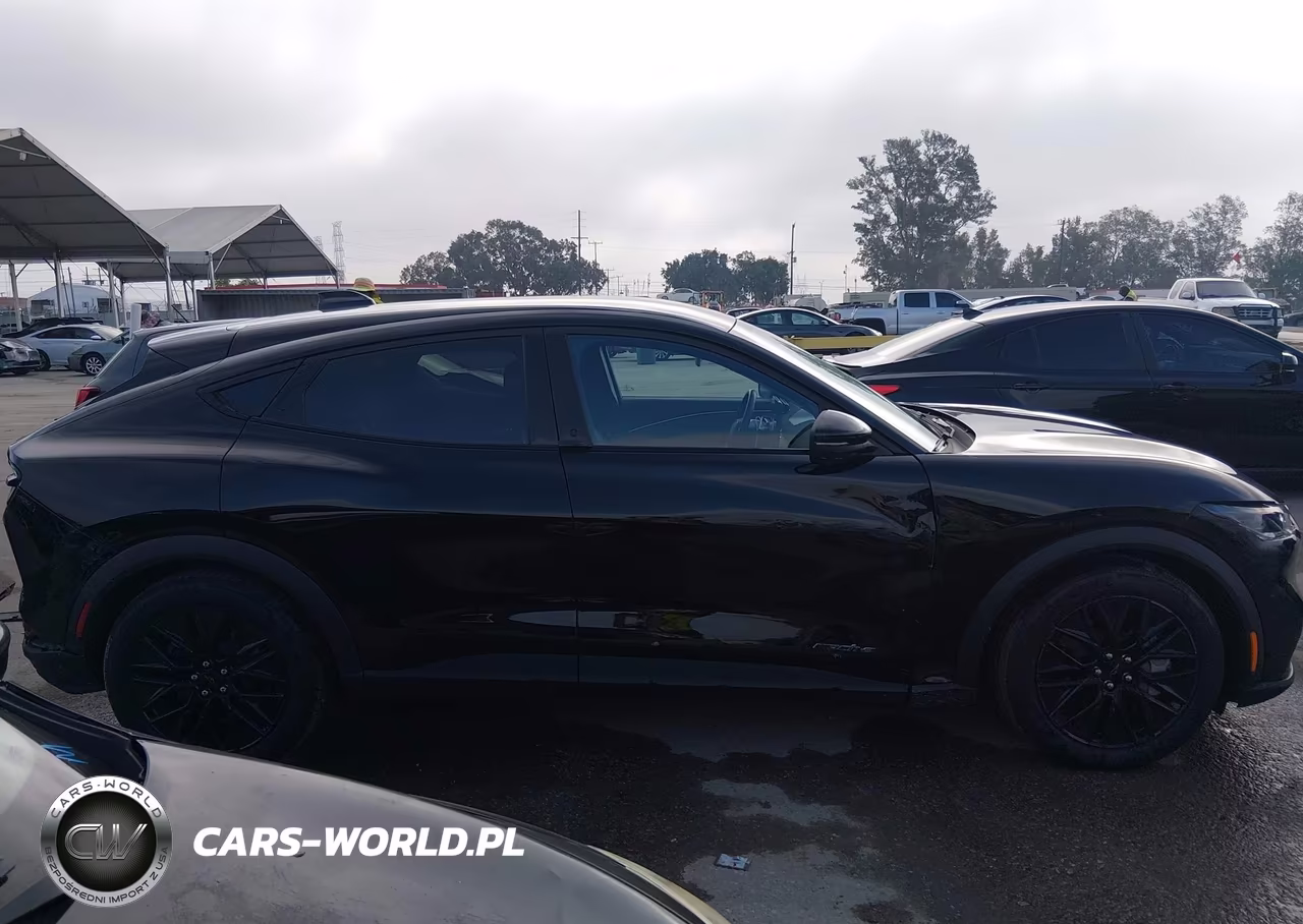 2025 Ford Mustang Mach-E Select VIN:3FMTK1R40SMA18836 - 13