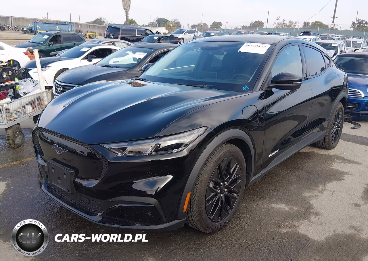 2025 Ford Mustang Mach-E Select VIN:3FMTK1R40SMA18836 - 2