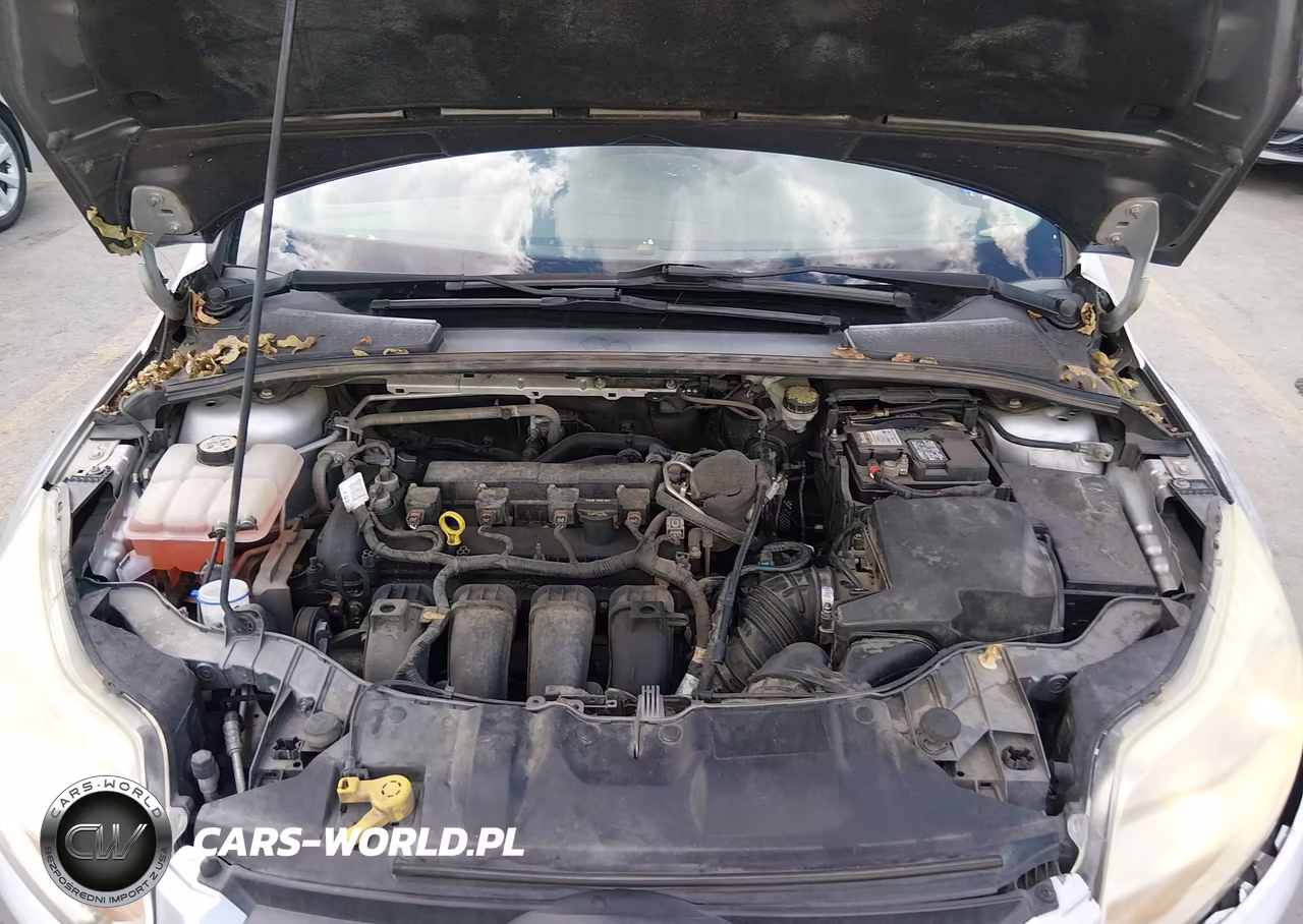 2014 Ford Focus Se VIN:1FADP3K23EL212111 - 10
