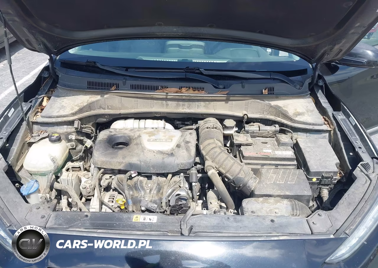 2019 Hyundai Kona Ultimate VIN:KM8K53A55KU375279 - 10