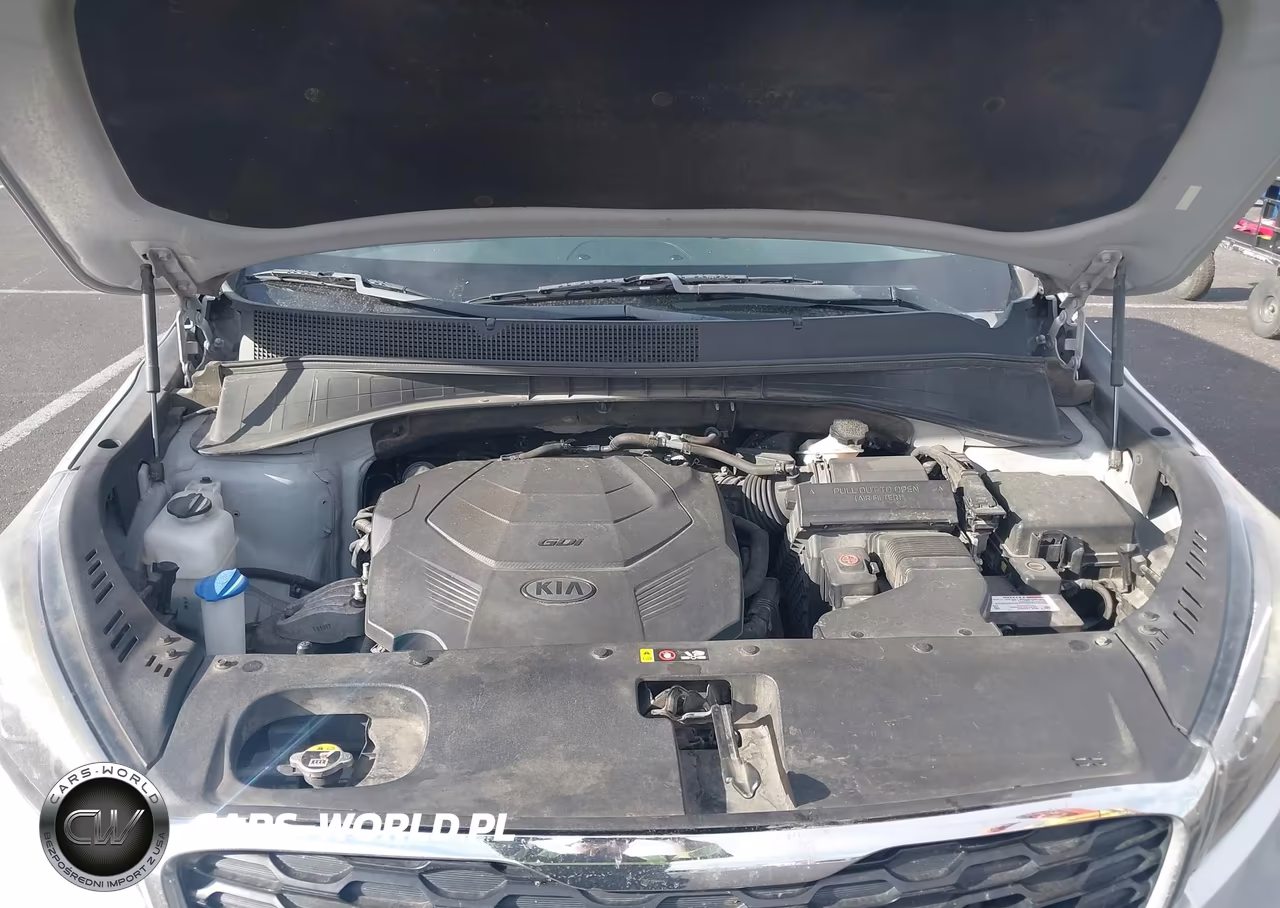 2019 Kia Sorento 3.3L Lx VIN:5XYPG4A52KG559932 - 10