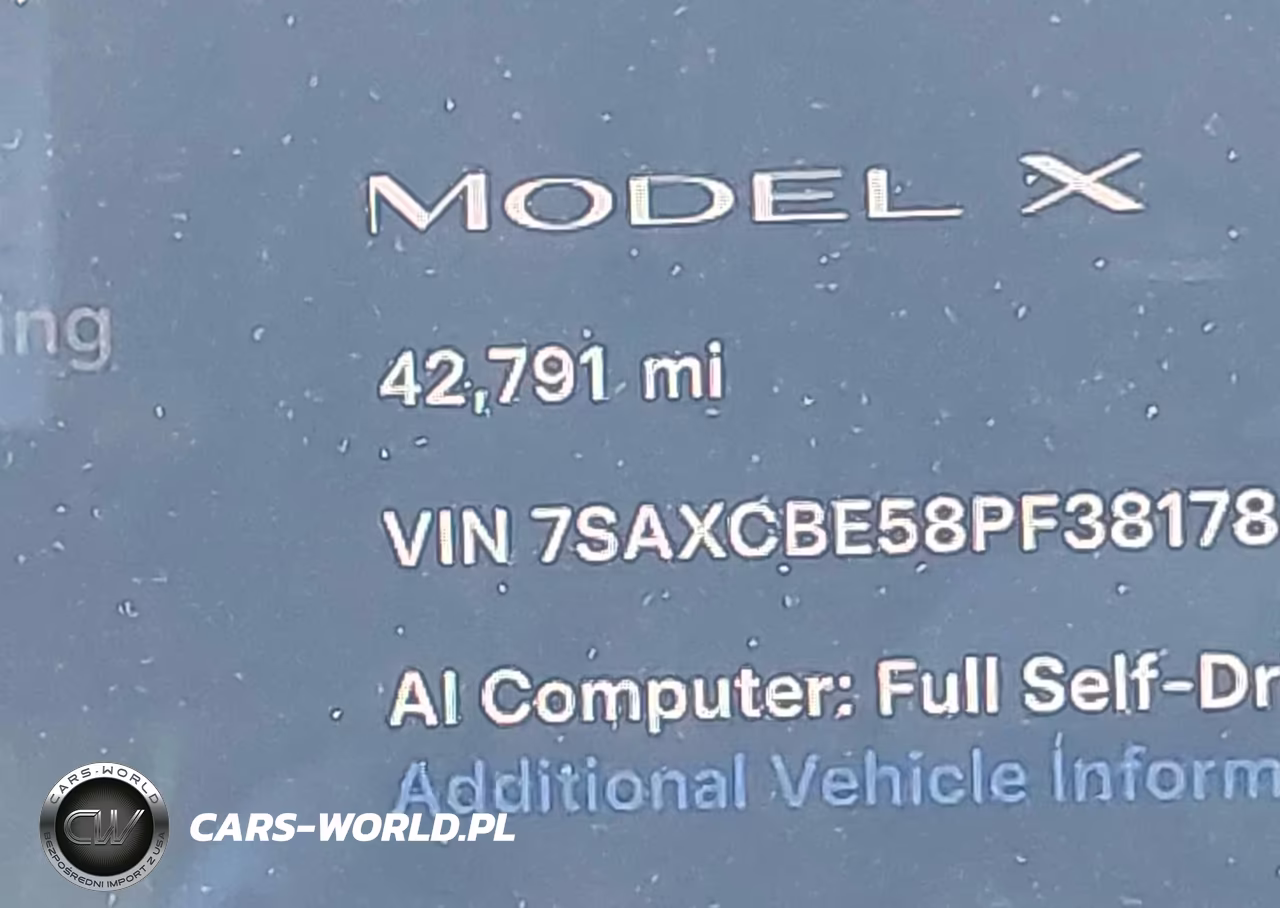 2023 Tesla Model X Dual Motor All-Wheel Drive-Standard Range VIN:7SAXCBE58PF381780 - 13